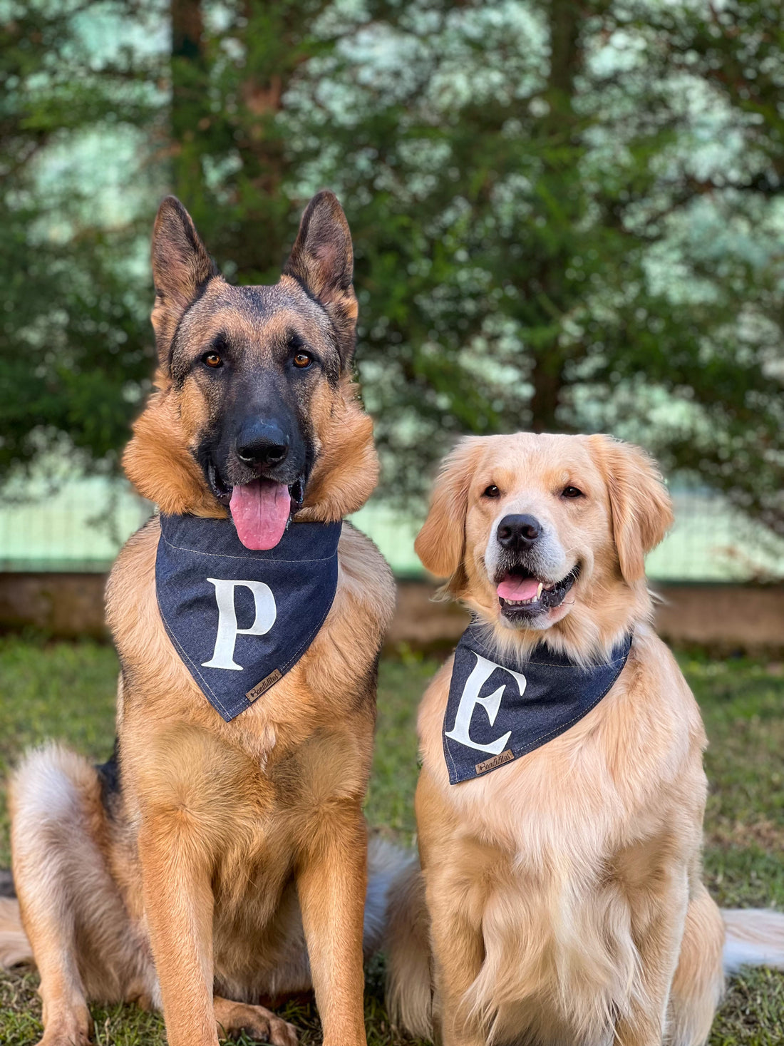 bandana clásica para perros y gatos