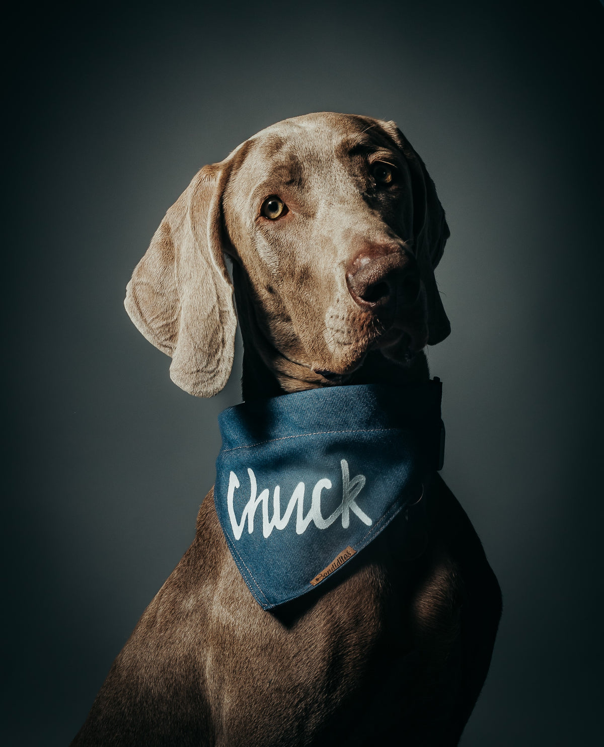 Bandanas