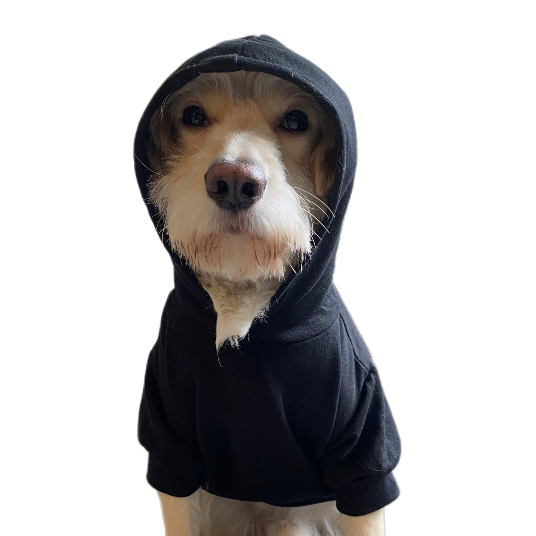 Polerón hoodie para perro con su carita 🐶🐈 (Personalizado)