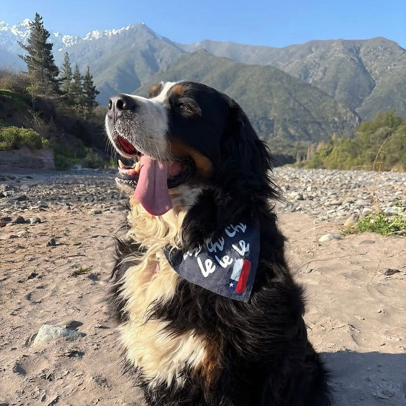 Bandana Fiestas Patrias chi chi chi le le le