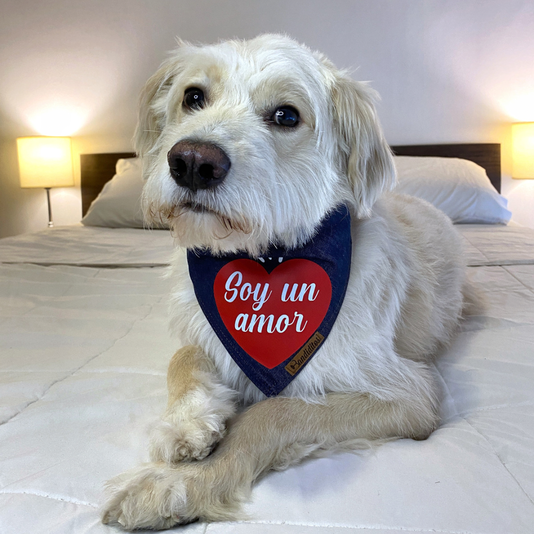 Bandana Soy un Amor