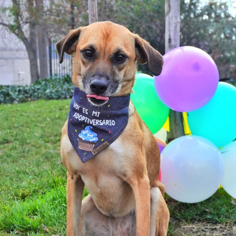 Bandana Adoptiversario