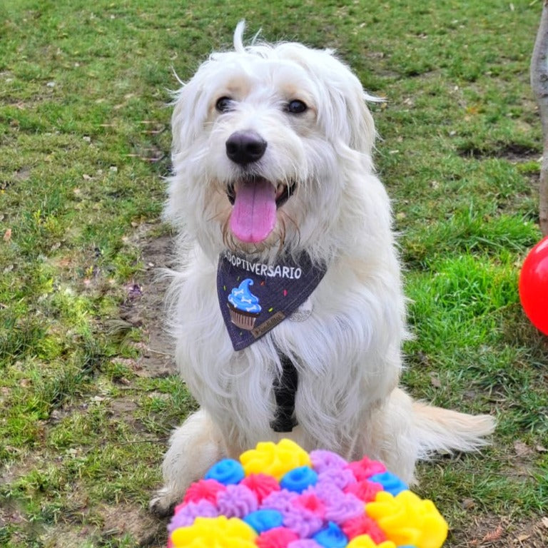 Bandana Adoptiversario